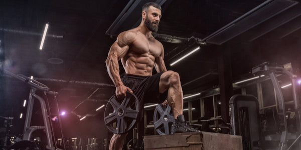 How To Hit The Gym Hard With Alpha Labs Laxogenin